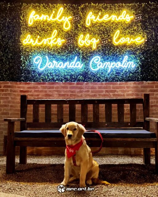 Nós da @mrc.art.br temos o orgulho de ter produzido o lindo neonled que deixa o ambiente ainda mais belo e acolhedor. ✨ Venha para uma experiência incrível no @varandacampolim! ✨O restaurante está deslumbrante, perfeito para você passear, relaxar e curtir momentos especiais. Aproveite os pratos deliciosos e sinta toda a vibe desse lugar incrível! E quem sabe você encontra um doguinho fofo como esse por lá! 🐶❤️#neon #NeonLED #neonsign #neonlights #arquiteturadeinteriores #decor #interiordesign #luminoso #neonart #mrcartes